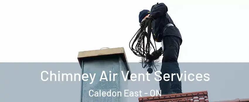  Chimney Air Vent Services Caledon East - ON