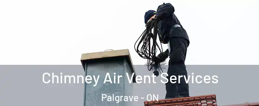 Chimney Air Vent Services Palgrave - ON