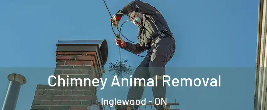  Chimney Animal Removal Inglewood - ON