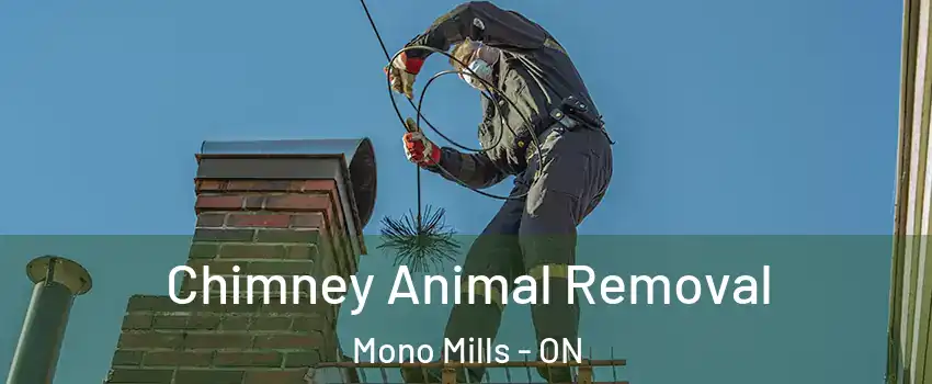  Chimney Animal Removal Mono Mills - ON