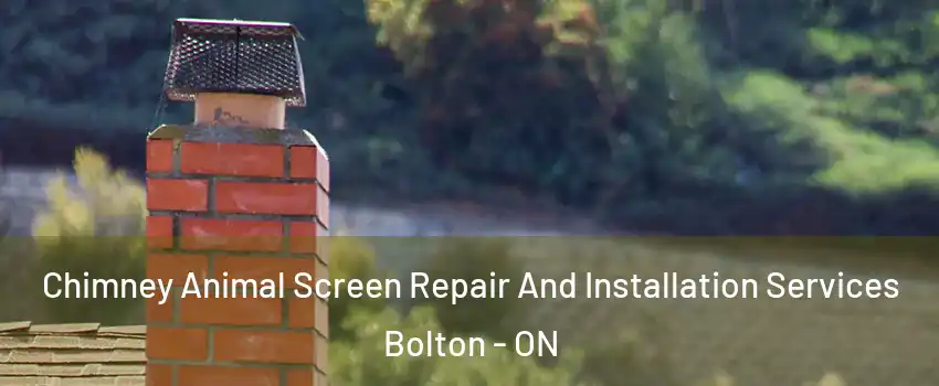 Chimney Animal Screen Repair And Installation Services Bolton - ON