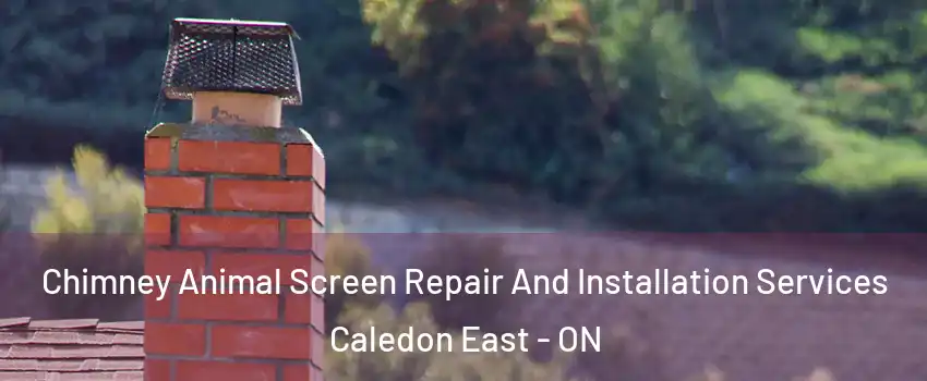 Chimney Animal Screen Repair And Installation Services Caledon East - ON
