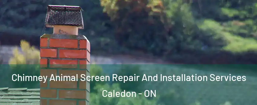  Chimney Animal Screen Repair And Installation Services Caledon - ON