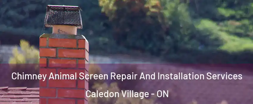 Chimney Animal Screen Repair And Installation Services Caledon Village - ON