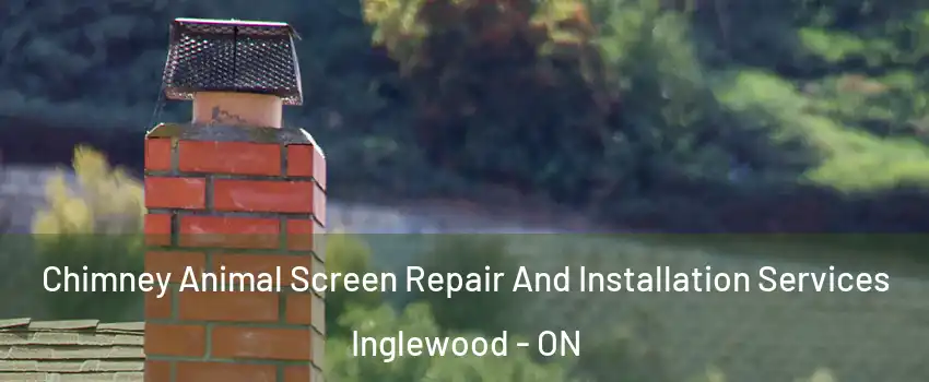 Chimney Animal Screen Repair And Installation Services Inglewood - ON