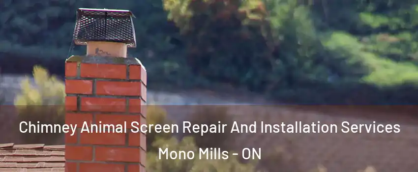 Chimney Animal Screen Repair And Installation Services Mono Mills - ON