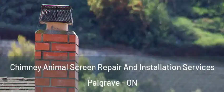  Chimney Animal Screen Repair And Installation Services Palgrave - ON