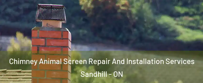 Chimney Animal Screen Repair And Installation Services Sandhill - ON