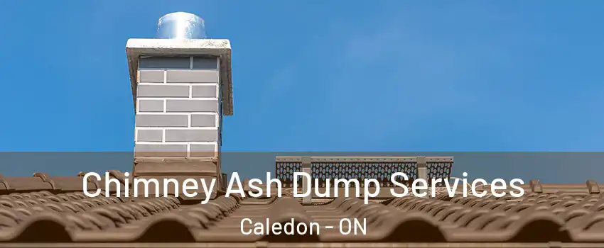  Chimney Ash Dump Services Caledon - ON
