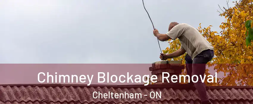  Chimney Blockage Removal Cheltenham - ON