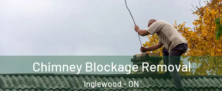  Chimney Blockage Removal Inglewood - ON