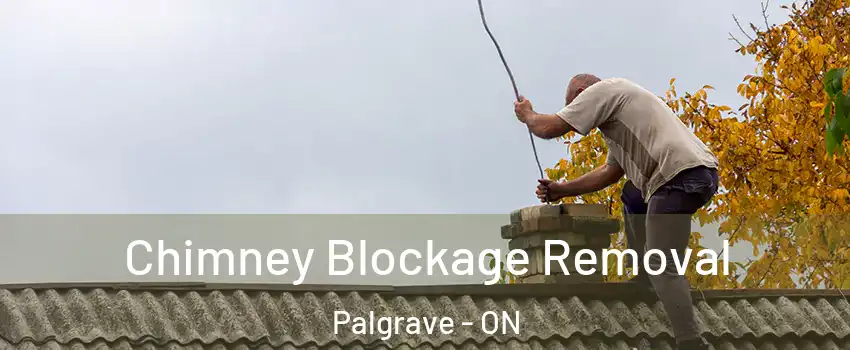  Chimney Blockage Removal Palgrave - ON
