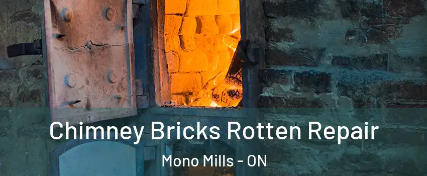  Chimney Bricks Rotten Repair Mono Mills - ON