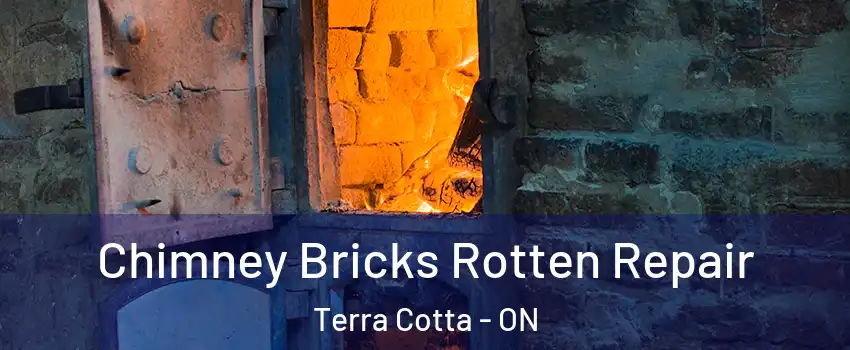  Chimney Bricks Rotten Repair Terra Cotta - ON