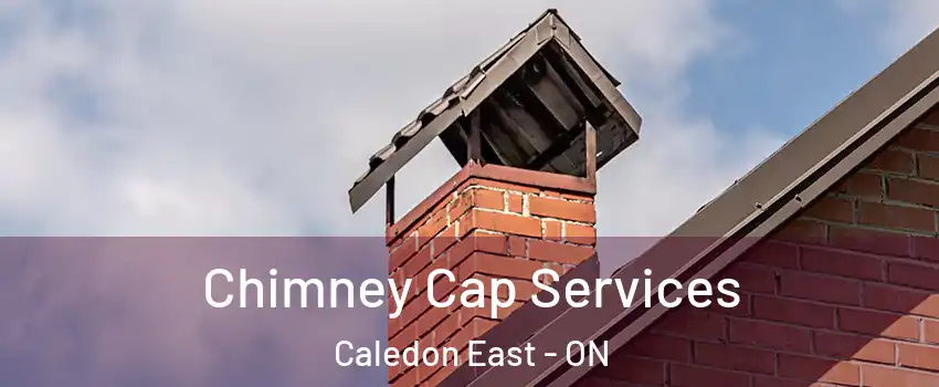 Chimney Cap Services Caledon East - ON