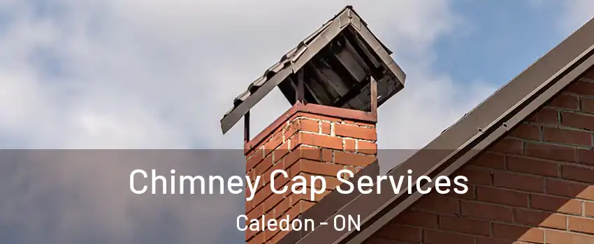  Chimney Cap Services Caledon - ON
