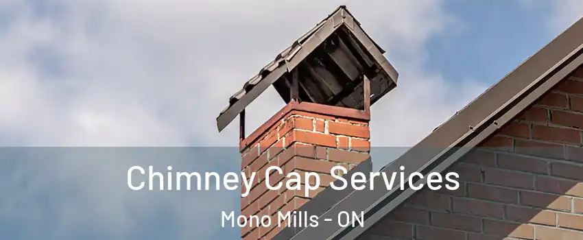  Chimney Cap Services Mono Mills - ON