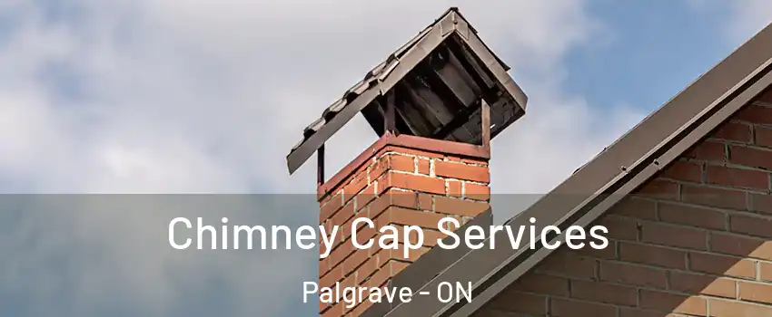 Chimney Cap Services Palgrave - ON