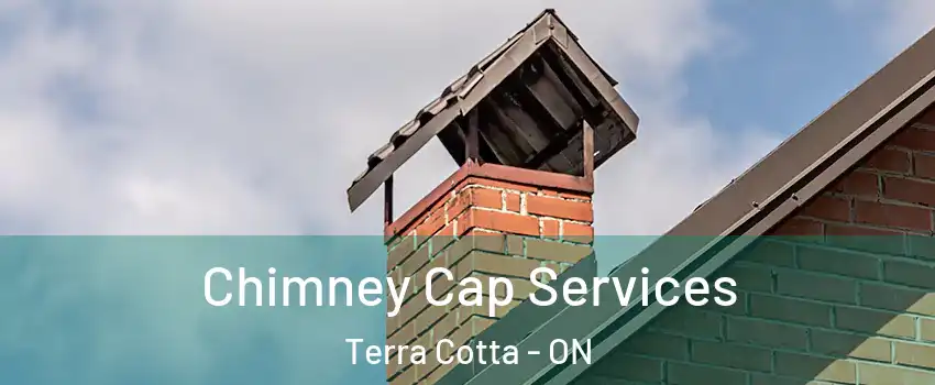  Chimney Cap Services Terra Cotta - ON