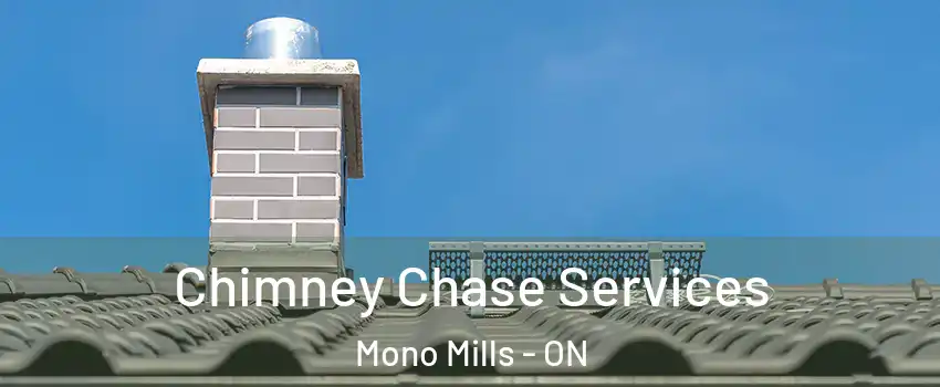 Chimney Chase Services Mono Mills - ON