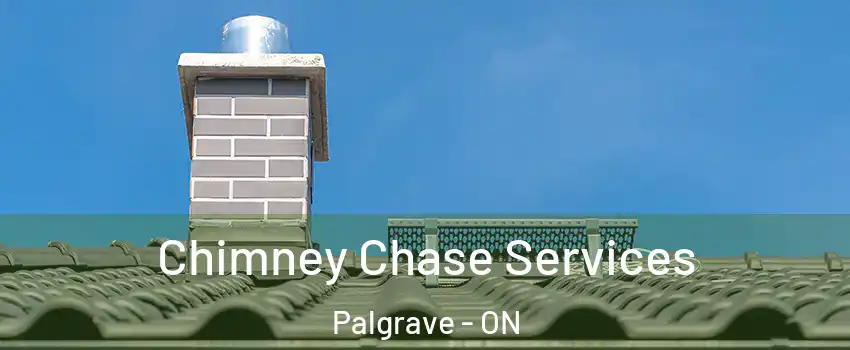 Chimney Chase Services Palgrave - ON