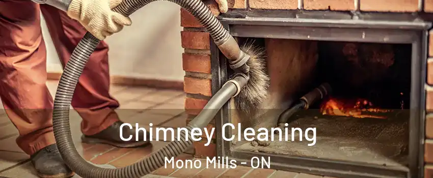 Chimney Cleaning Mono Mills - ON