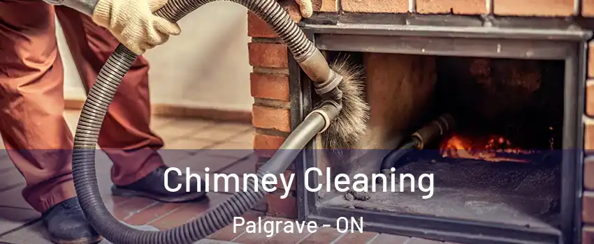 Chimney Cleaning Palgrave - ON