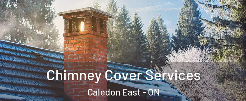  Chimney Cover Services Caledon East - ON