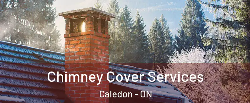  Chimney Cover Services Caledon - ON
