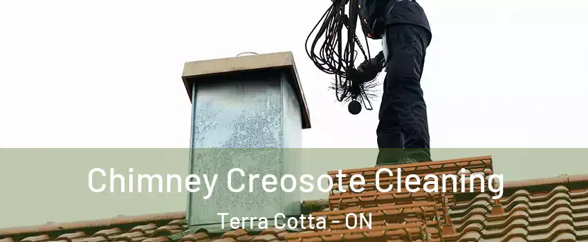  Chimney Creosote Cleaning Terra Cotta - ON
