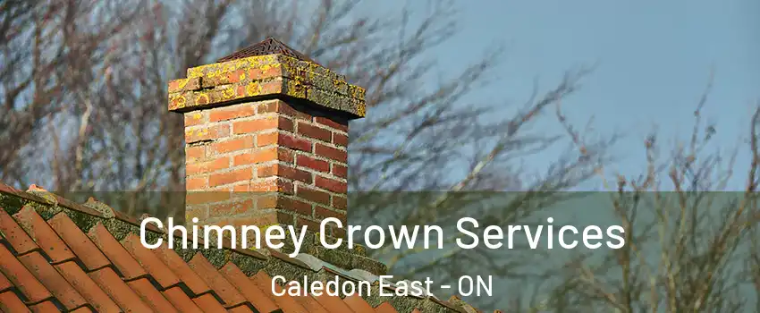  Chimney Crown Services Caledon East - ON