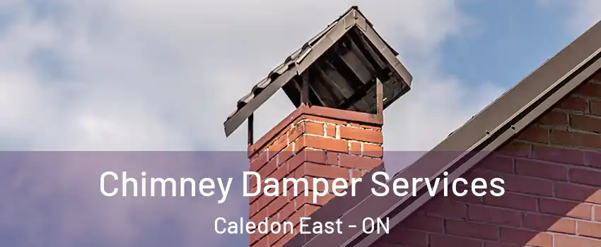  Chimney Damper Services Caledon East - ON