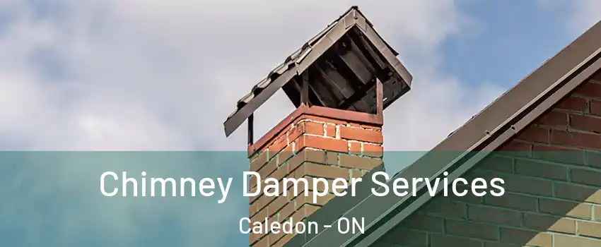  Chimney Damper Services Caledon - ON