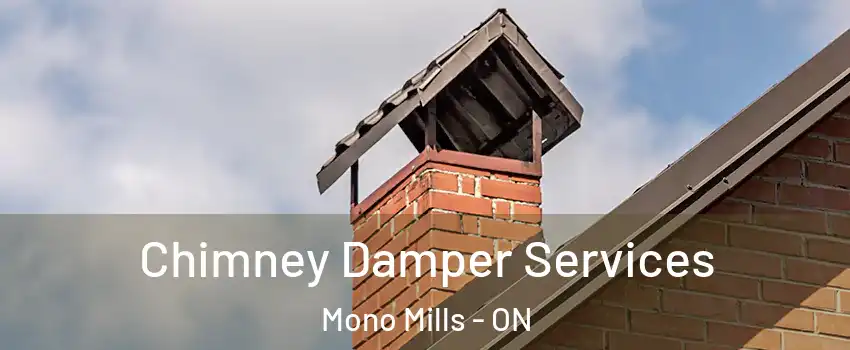  Chimney Damper Services Mono Mills - ON