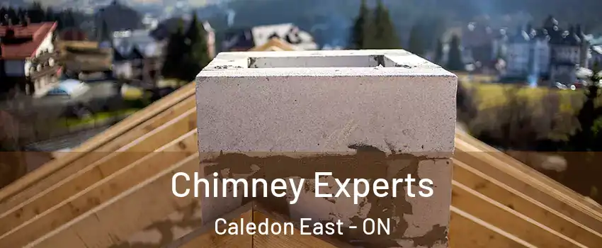 Chimney Experts Caledon East - ON