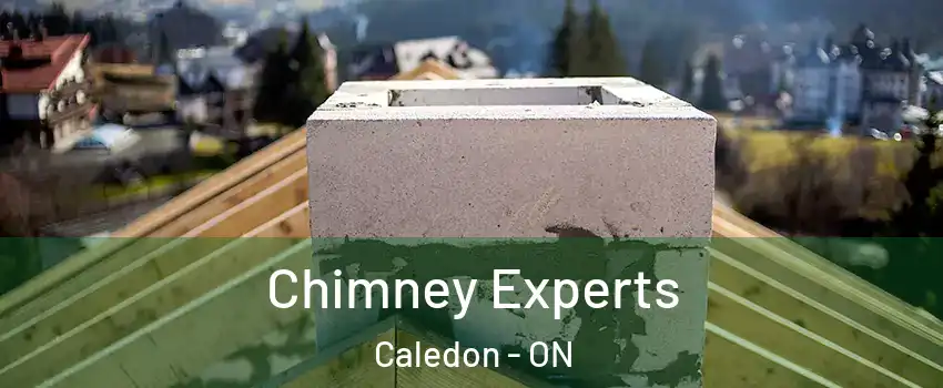  Chimney Experts Caledon - ON