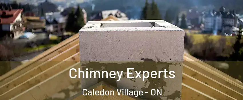  Chimney Experts Caledon Village - ON