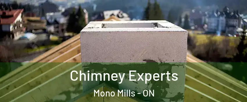 Chimney Experts Mono Mills - ON
