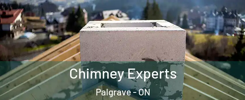 Chimney Experts Palgrave - ON