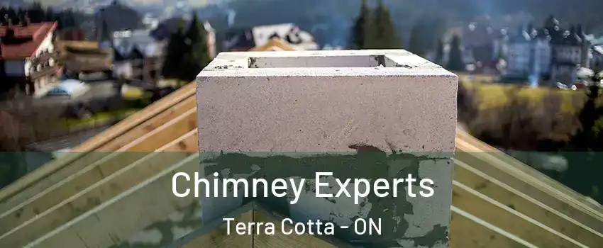  Chimney Experts Terra Cotta - ON