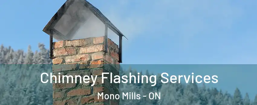  Chimney Flashing Services Mono Mills - ON