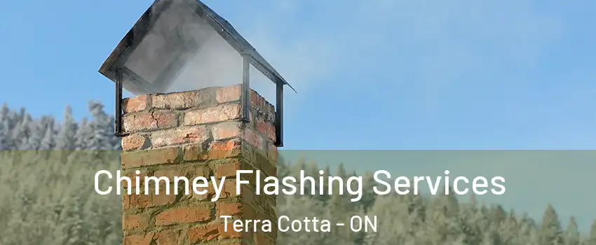 Chimney Flashing Services Terra Cotta - ON