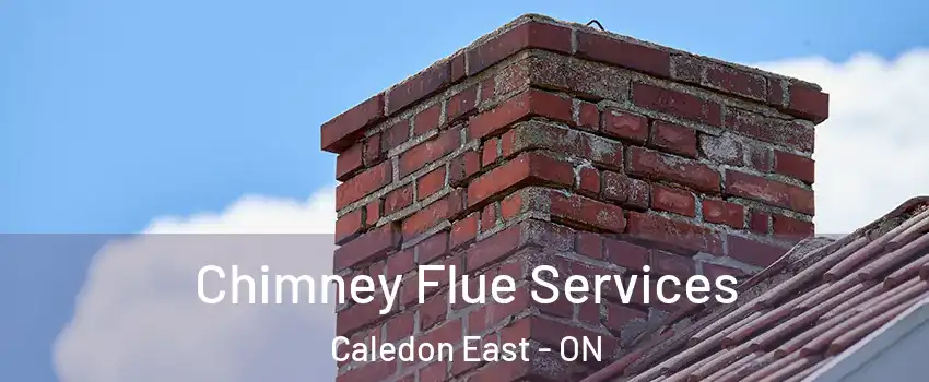  Chimney Flue Services Caledon East - ON