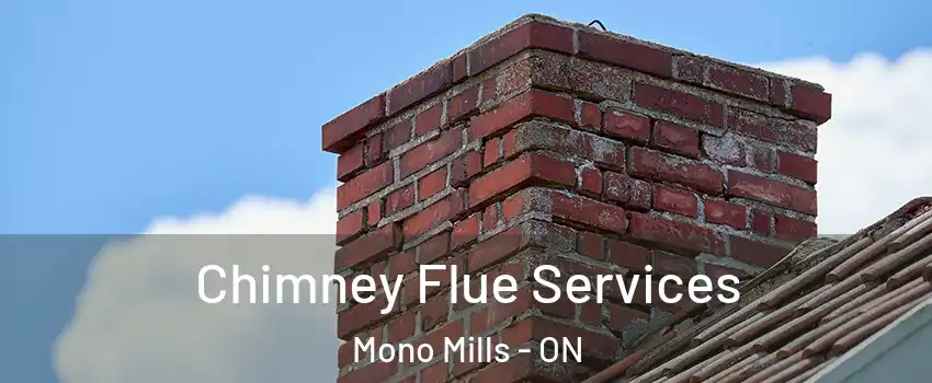  Chimney Flue Services Mono Mills - ON