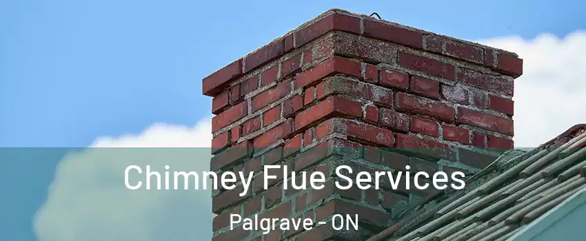  Chimney Flue Services Palgrave - ON