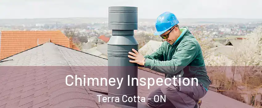  Chimney Inspection Terra Cotta - ON