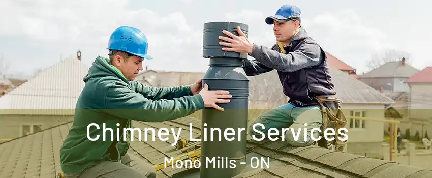  Chimney Liner Services Mono Mills - ON