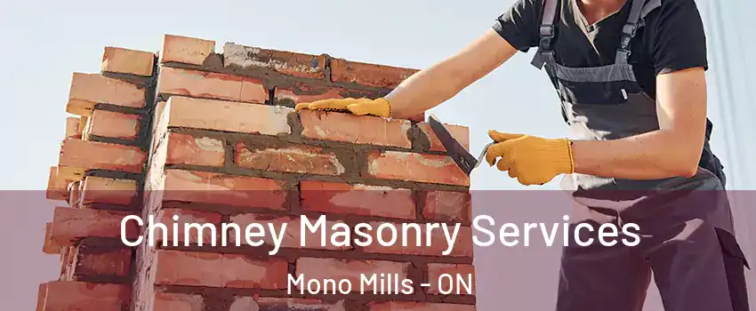  Chimney Masonry Services Mono Mills - ON