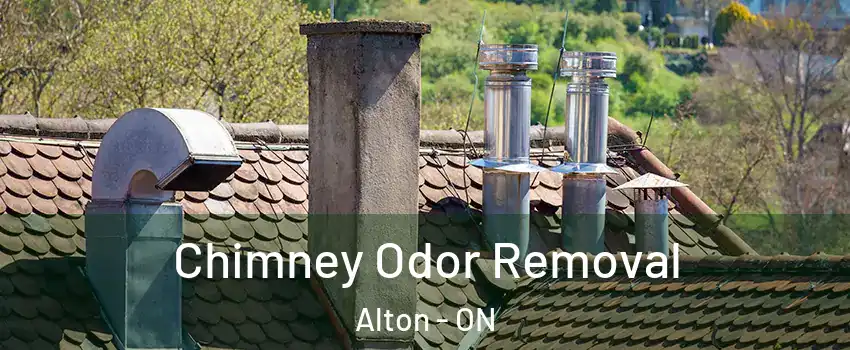  Chimney Odor Removal Alton - ON