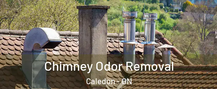  Chimney Odor Removal Caledon - ON